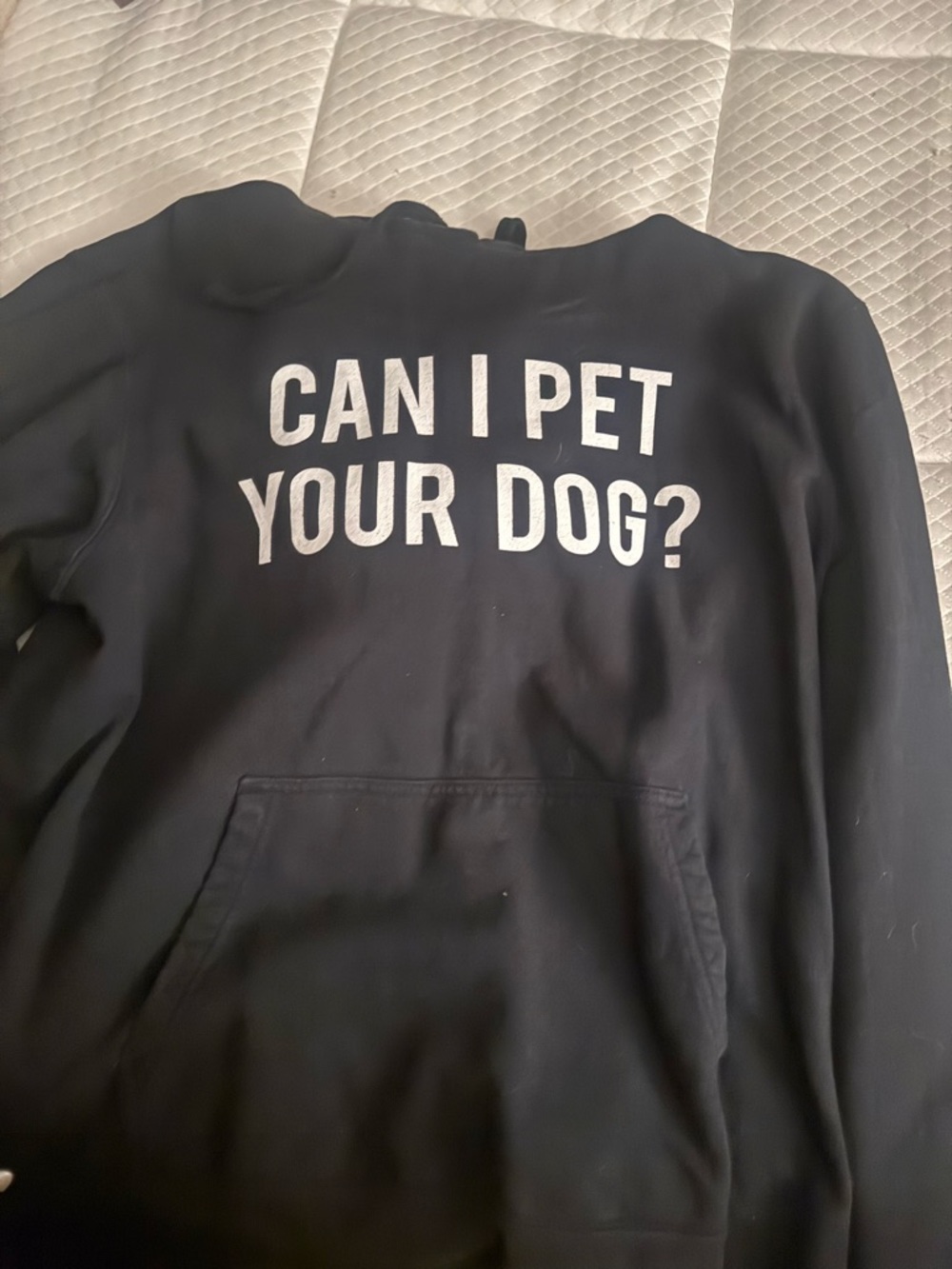 “Can I pet your dog” hoodie